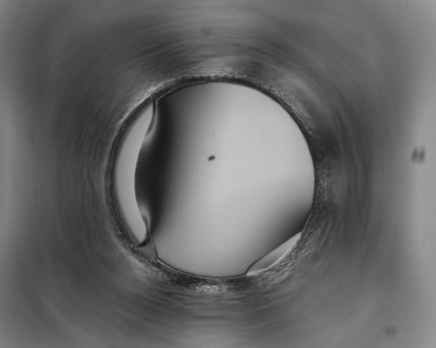 X0000097910160200804041509