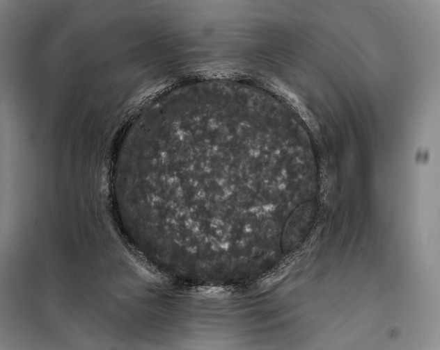 X0000097910161200804041509