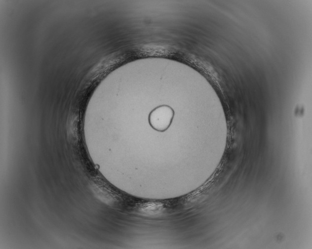 X0000097910162200804041509