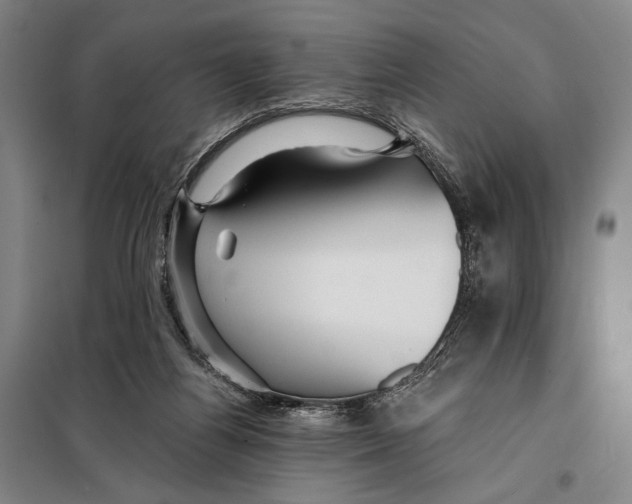 X0000097910164200804041509