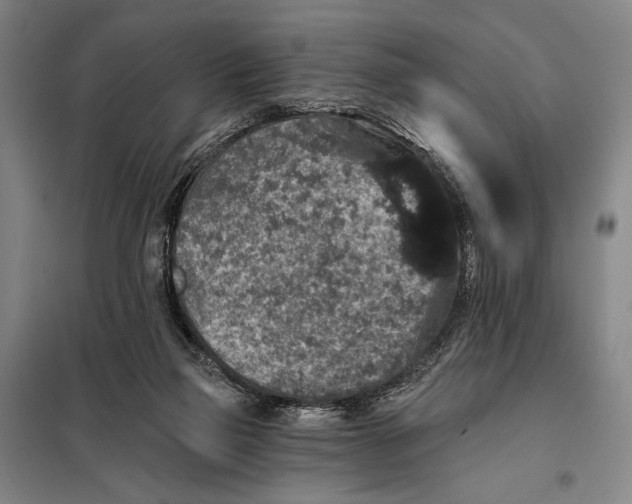 X0000097910165200804041509