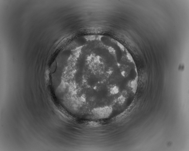 X0000097910166200804041509