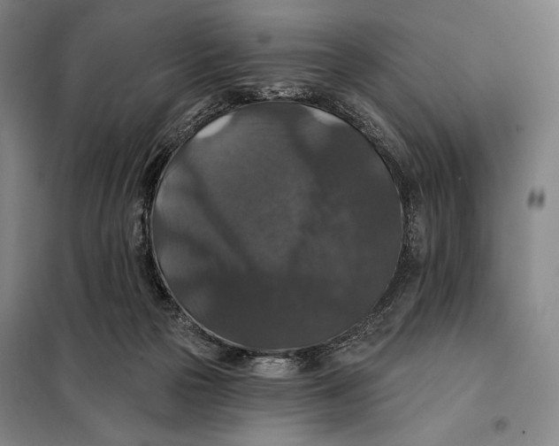 X0000097910169200804041509