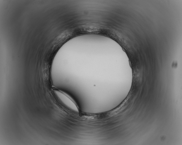 X0000097910170200804041509