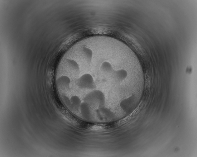 X0000097910171200804041509