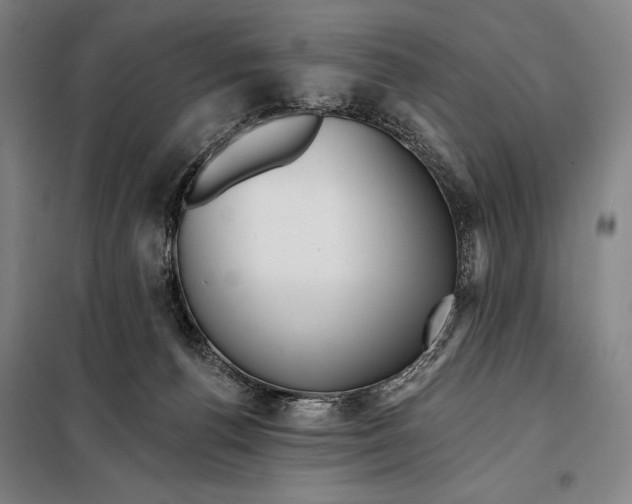 X0000097910176200804041509