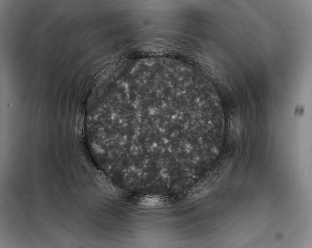 X0000097910177200804041509