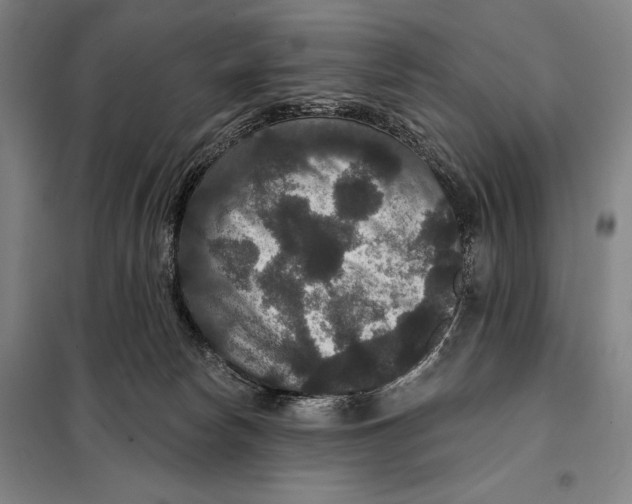 X0000097910178200804041509