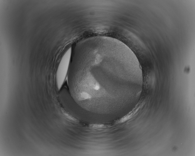 X0000097910180200804041509