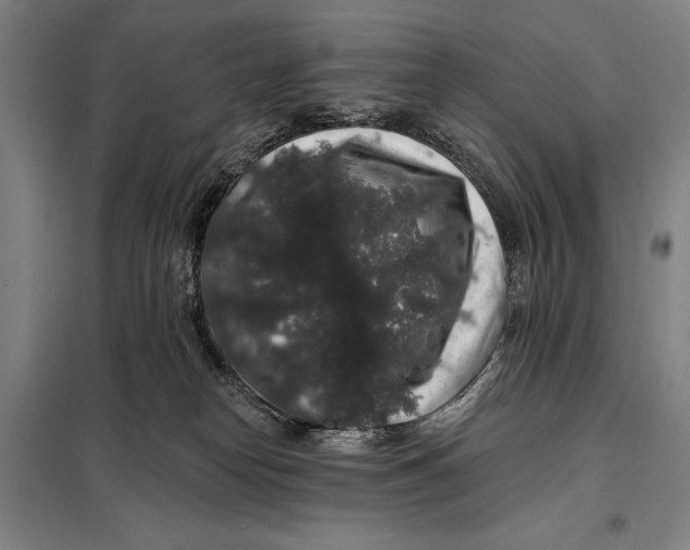 X0000097910182200804041509