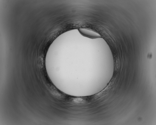 X0000097910183200804041509