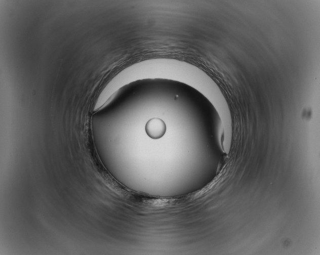 X0000097910184200804041509