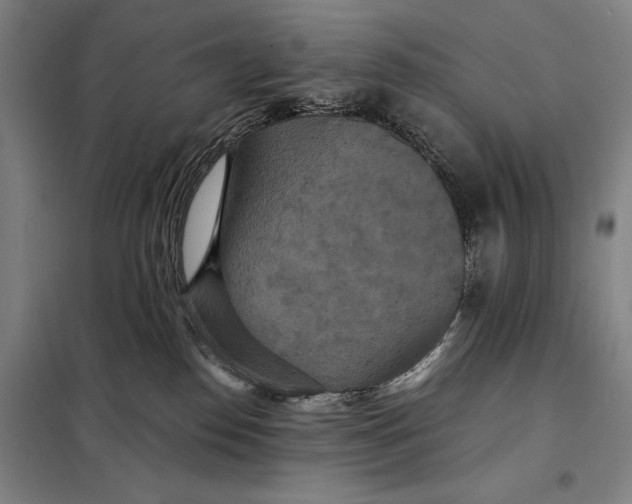 X0000097910186200804041509