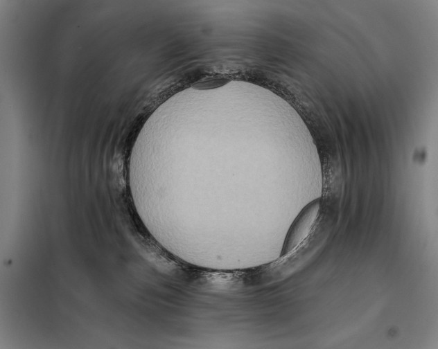 X0000097910187200804041509