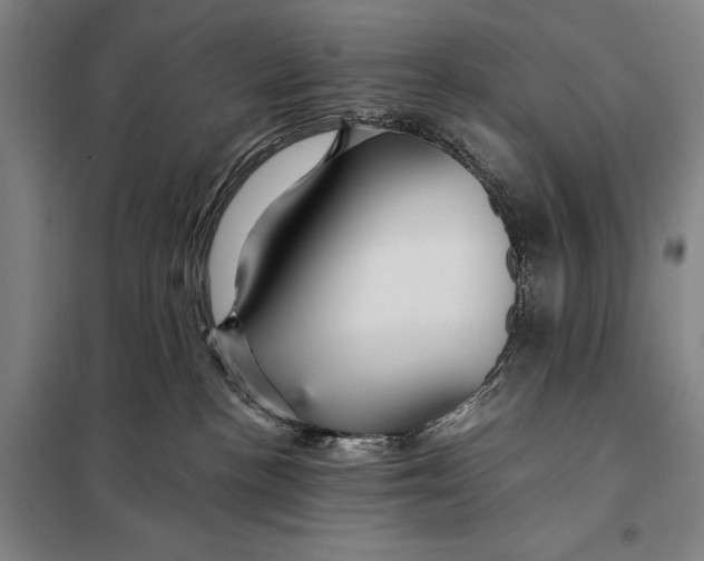 X0000097910188200804041509