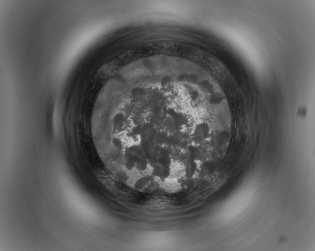 X0000097910189200804041509