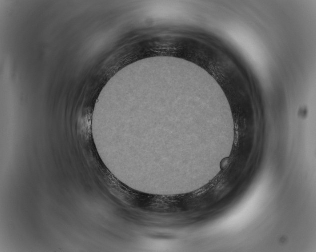 X0000097910190200804041509