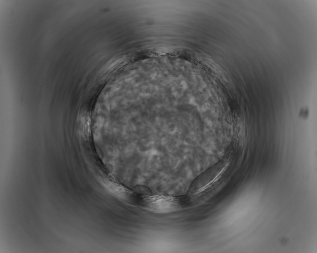 X0000097910191200804041509