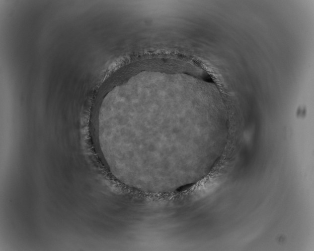 X0000097910192200804041509