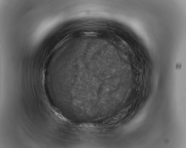 X0000097910194200804041509