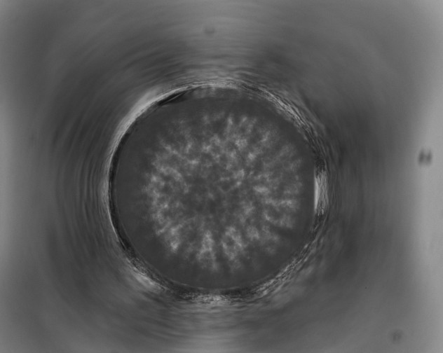 X0000097910195200804041509