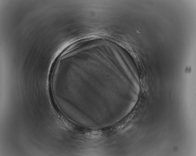 X0000097910196200804041509