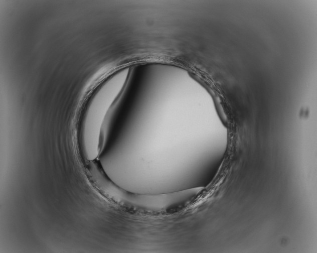 X0000097910197200804041509