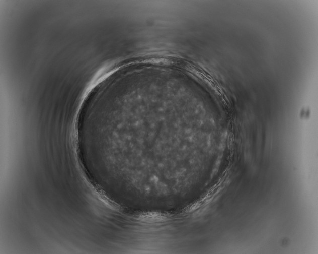 X0000097910198200804041509