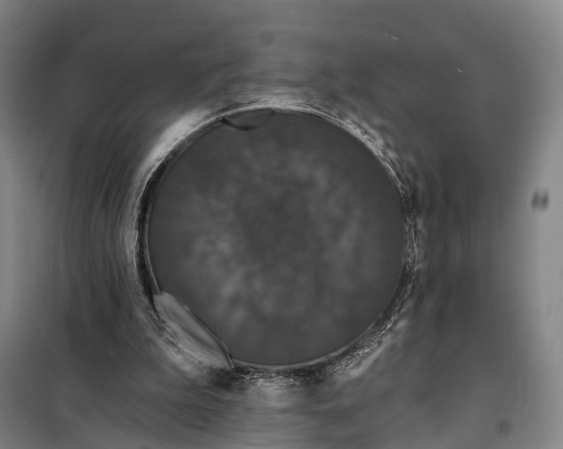 X0000097910199200804041509