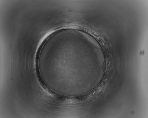 X0000097910200200804041509