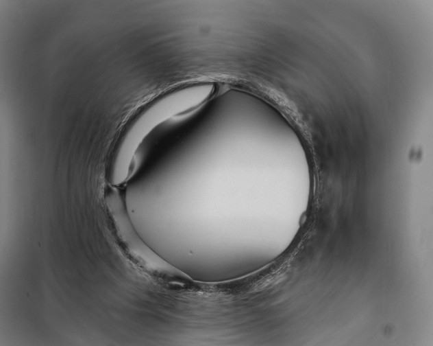 X0000097910201200804041509