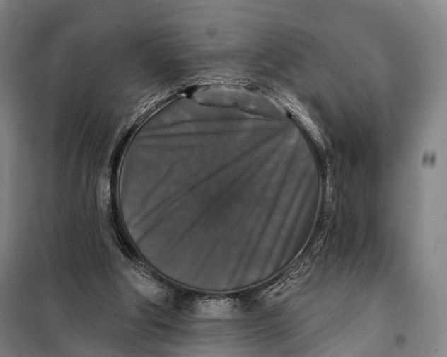 X0000097910202200804041509