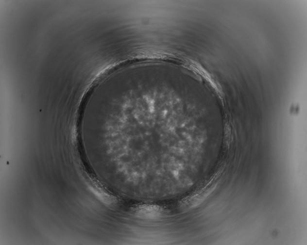 X0000097910203200804041509