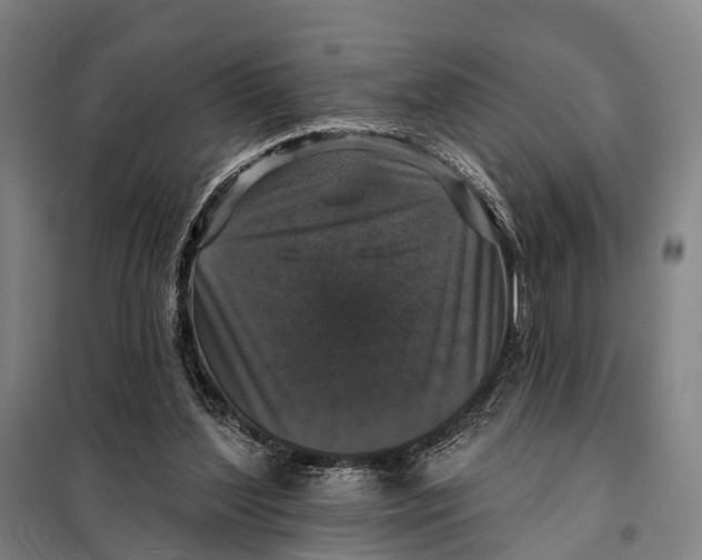 X0000097910204200804041509