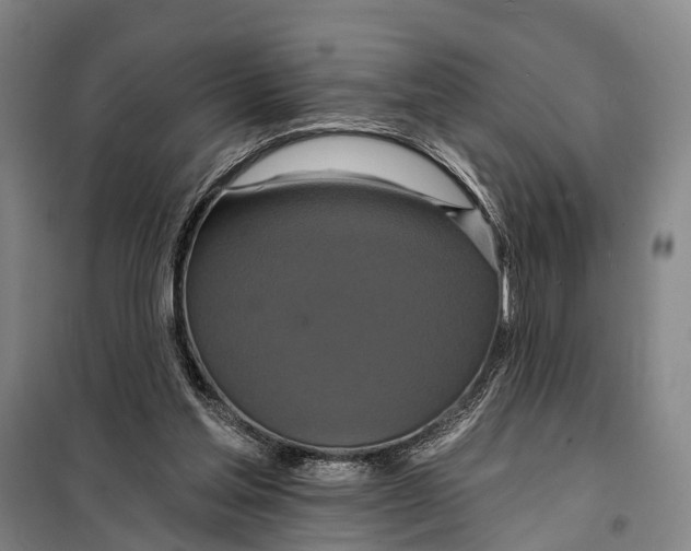 X0000097910205200804041509