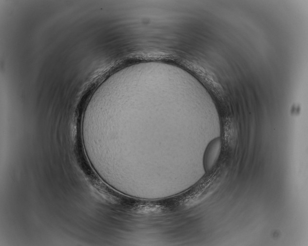 X0000097910206200804041508