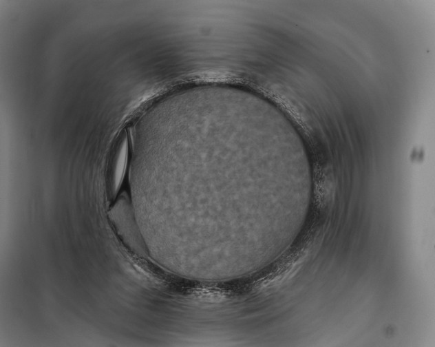 X0000097910207200804041508