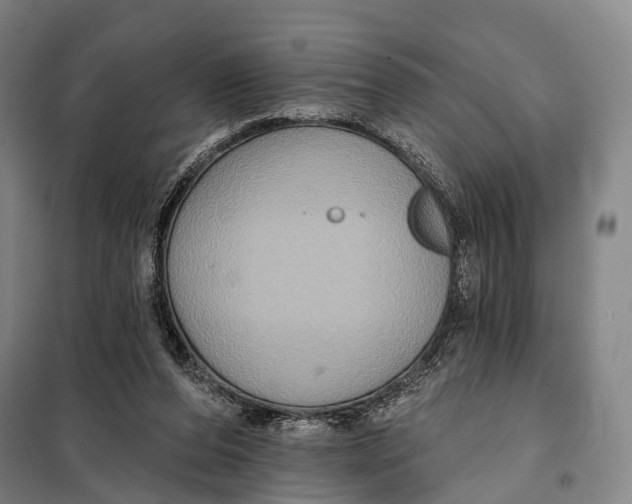 X0000097910208200804041508