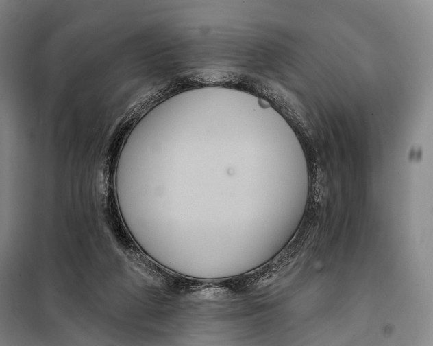 X0000097910210200804041508