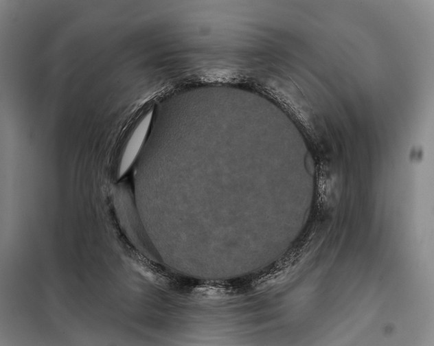 X0000097910211200804041508