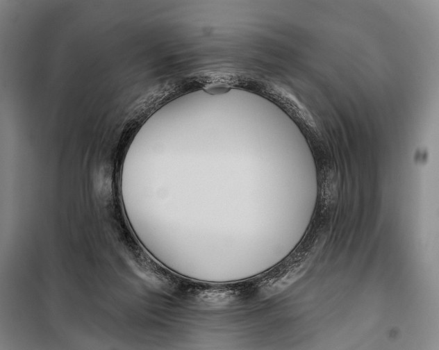 X0000097910213200804041508