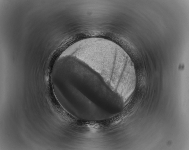 X0000097910214200804041508