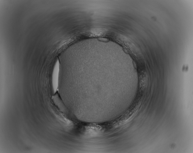 X0000097910215200804041508