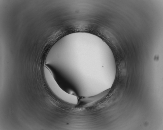 X0000097910217200804041508