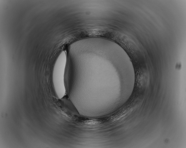 X0000097910219200804041508