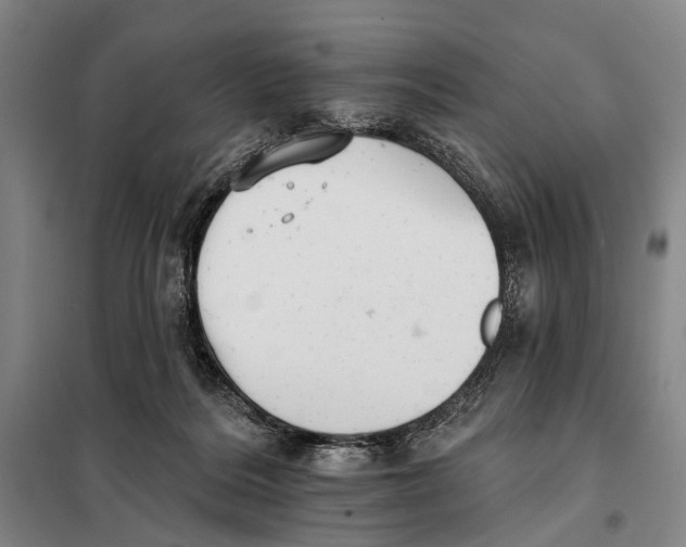 X0000097910220200804041508