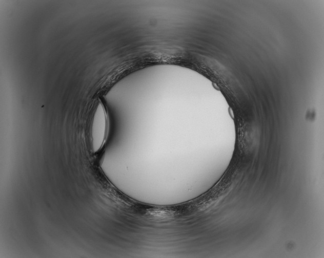 X0000097910221200804041508