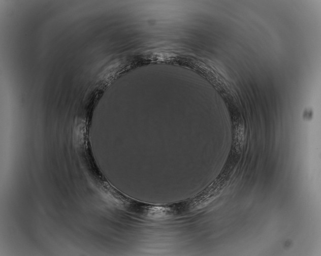 X0000097910222200804041508