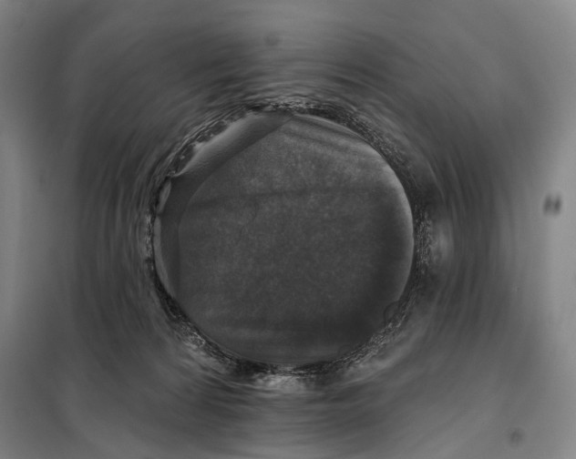 X0000097910224200804041508