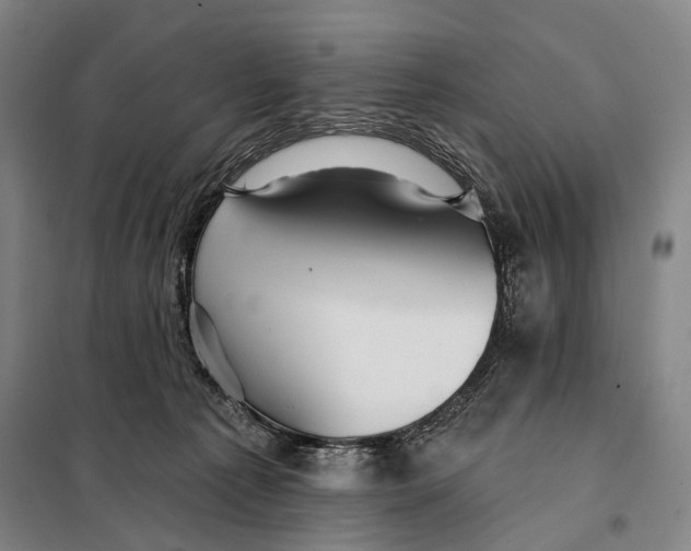 X0000097910225200804041508